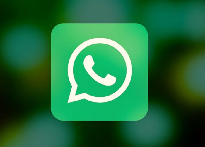 WhatsApp Down Total: Pengguna Tidak Bisa Chat Personal, Grup hingga Buka WA Web