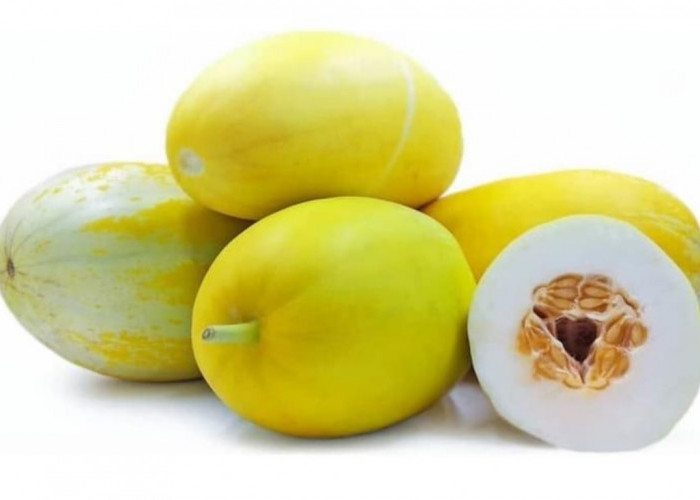 Perlu Diketahui, Ini Efek Samping Timun Suri Jika Dikonsumsi Berlebihan