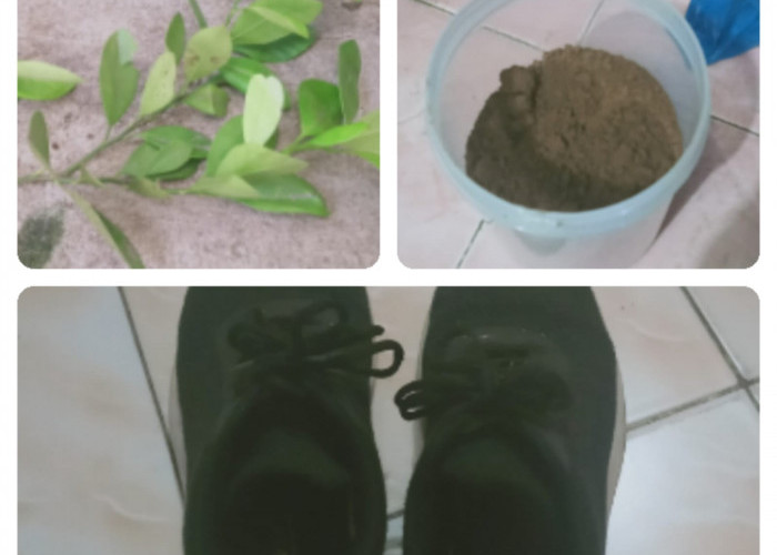 Ganti Bau Busuk Sepatu dengan Aroma Bubuk Kopi dan Daun Jeruk Nipis, Begini Caranya
