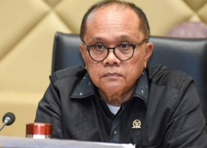 Wakil Ketua Komisi II DPR Sebut Seluruh Tenaga Honorer Akan Diangkat Jadi PPPK, Begini Respons Non-ASN