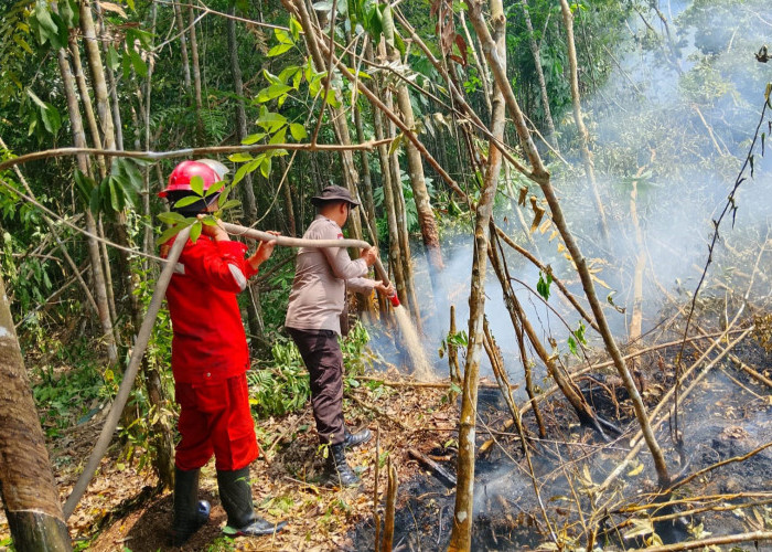 Personel Polsek Gelumbang dan Manggala Agni Padamkan Karhutla