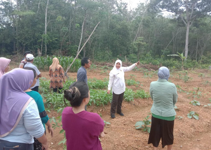 Antisipasi Krisis Pangan 2023 di PALI, Pemda Dorong Desa Bentuk Kelompok Wanita Tani (KWT)