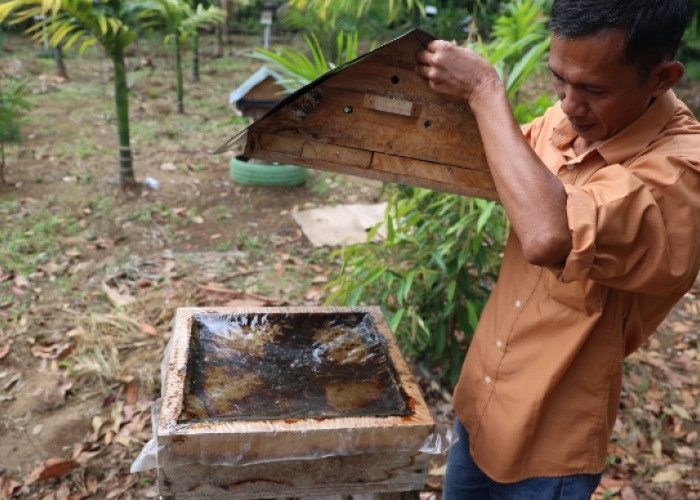 Tingkatkan Kesejahteraan Masyarakat, PT Bukit Asam Gelar Pelatihan Pengolahan Madu Hingga Penanganan Hama