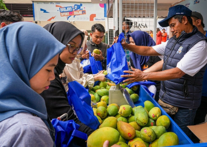 Diberdayakan BRI, Petani Mangga Bondowoso Mampu Perluas Lahan dan Tingkatkan Taraf Hidup