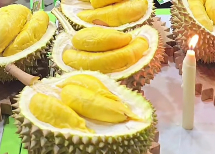 Inilah Keunggulan Durian Musang King