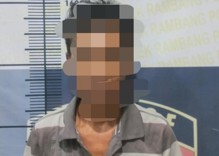Curi TV, Pria Paruh Baya di Muara Enim Ini Ditangkap Polisi
