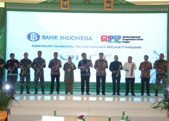 Deputi Gubernur Bank Indonesia Apresiasi Komitmen Gubernur Sumsel Sinergikan GNPIP dengan GSMP