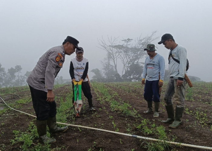 Tingkatkan Kesejahteraan Masyarakat Melalui Program Lahan Produktif