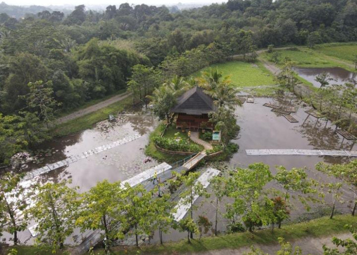 PT Bukit Asam Kembangkan Lahan Basah Buatan untuk Pemulihan Lingkungan