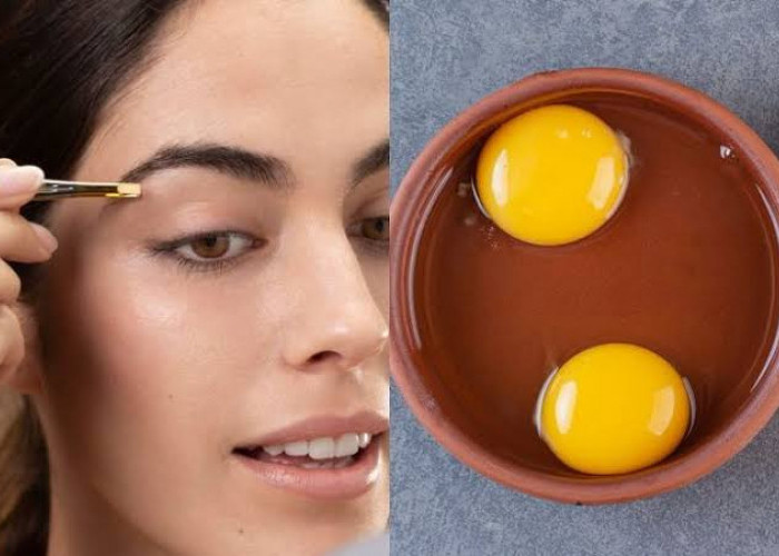 Ini Trik Rahasia Membuat Alis Lebih Tebal Hanya dengan Kuning Telur
