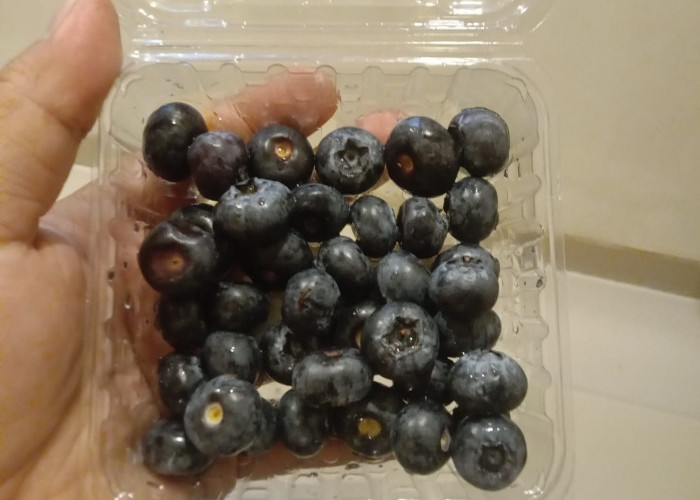 Blueberry Baik untuk Kesehatan Jantung, Fungsi Otak hingga Pencernaan dan Kulit