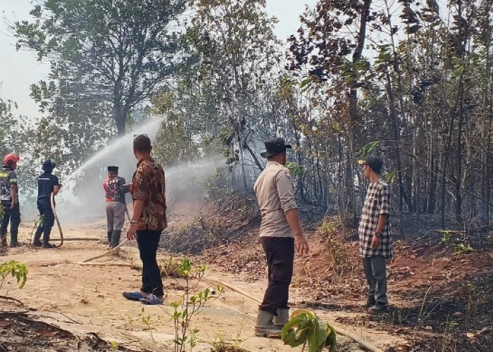 Karhutla Seluas 5 Hektare Dekati Permukiman, Petugas Berjibaku 9 Jam Lakukan Pemadaman