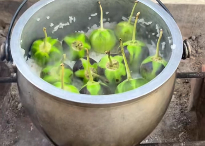 6 Manfaat Memasak Terong Bulat Bersamaan dengan Nasi