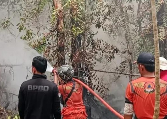Karhutla Capai 60 Hektare, Suplai 9.000 Liter Air Dikerahkan