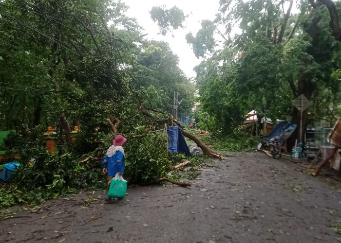 Angin Puting Beliung di Muara Enim Sebabkan Puluhan Atap Rumah Rusak dan Ratusan Pohon Tumbang