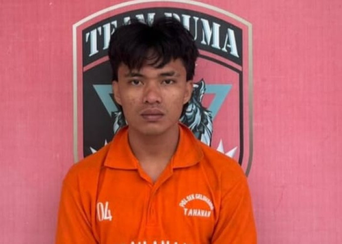 Tagih Hutang Koperasi Berujung Maut, Pemuda di Wilayah Muara Enim Tusuk Korban Hingga Tewas