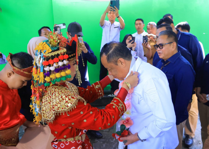 Wagub Sumsel Dorong Kepedulian dan Pembangunan Inklusif Bagi Anak Berkebutuhan Khusus