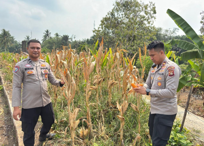 Perkuat Ketahanan Pangan Lokal