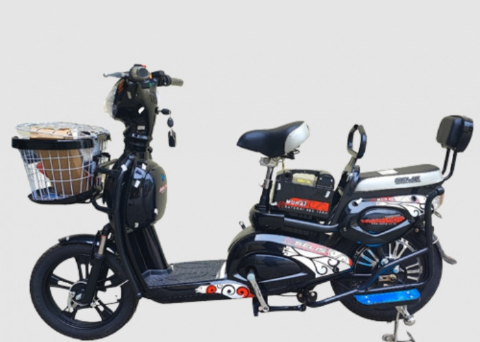 4 Rekomendasi Sepeda Listrik yang Layak Dijadikan Alat Transportasi Harian, Berikut Spesifikasinya