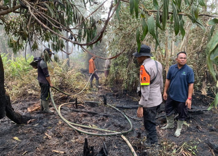 Cegah Karhutla Meluas, Polsek Sungai Rotan Bersama Brimob dan Damkar Padamkan Titik Api di Suka Merindu