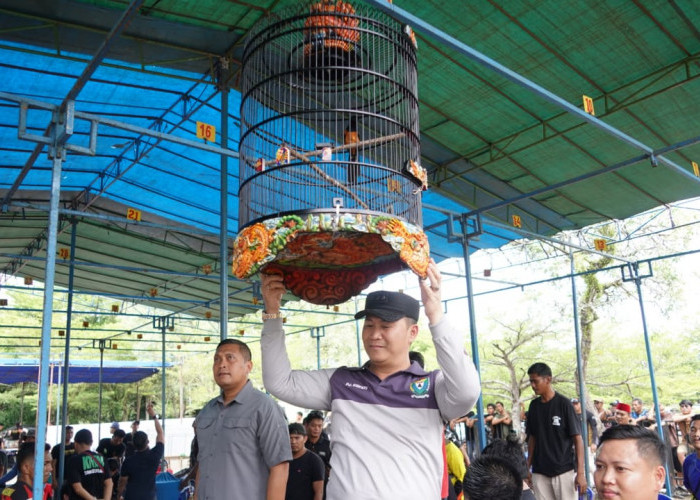 Kejuaraan Burung Berkicau Diramaikan Peserta dari Luar Daerah Muara Enim