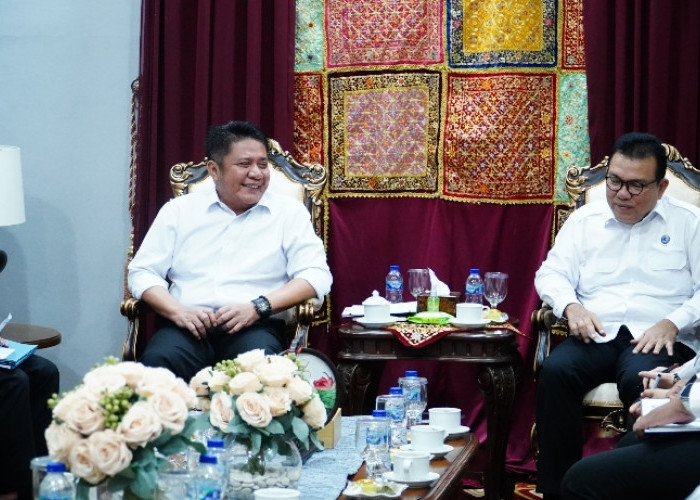 Gubernur Harapkan Kanwil Kemenham Sumsel Perkuat Literasi HAM ke Masyarakat