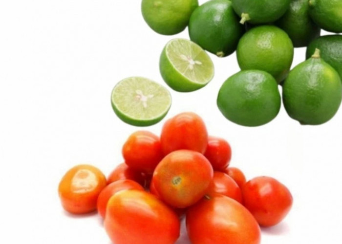 Begini Cara Agar Tomat, Cabai dan Jeruk Nipis Tetap Segar dalam Kulkas Lebih dari 2 Bulan, Yuk Simak!