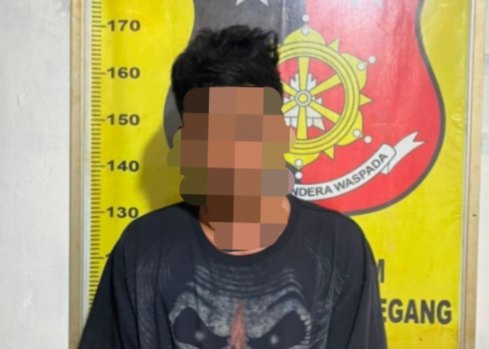 Pencuri Sawit di Muara Enim Ditangkap Usai Dijebak Tim Keamanan Perusahaan