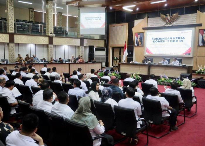 Pemprov Sumsel dan Komisi II DPR RI Evaluasi Pelaksanaan Seleksi CPNS dan PPPK Tahap 1 Tahun 2024