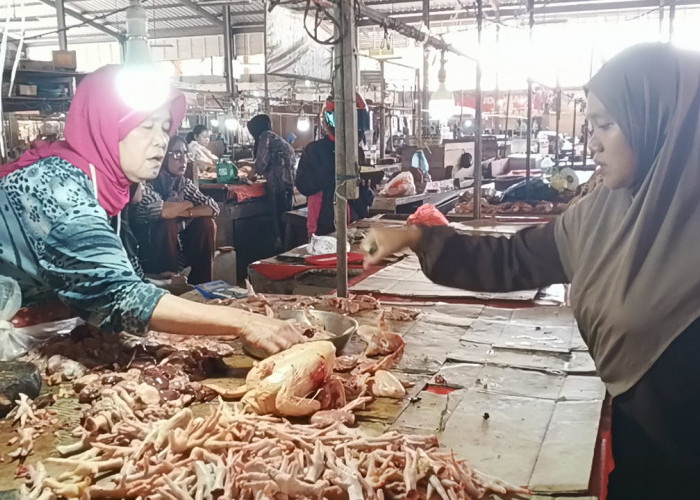Daging Ayam di Muara Enim Tembus Rp45 Ribu per Kg, Pedagang Sebut Program MBG Jadi Pemicu