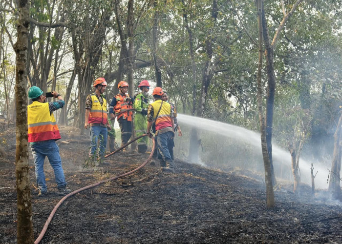 Damkar Bersama TNI-Polri dan Warga Gerak Cepat Padamkan Lahan Terbakar
