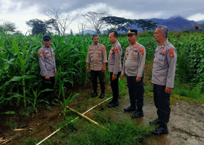 Anggota Polres Muara Enim Tinjau Lahan Jagung di Lereng Bukit