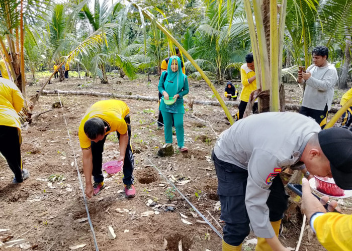 Dukung Ketahanan Pangan Lewat Penanaman Jagung di Pagar Dewa