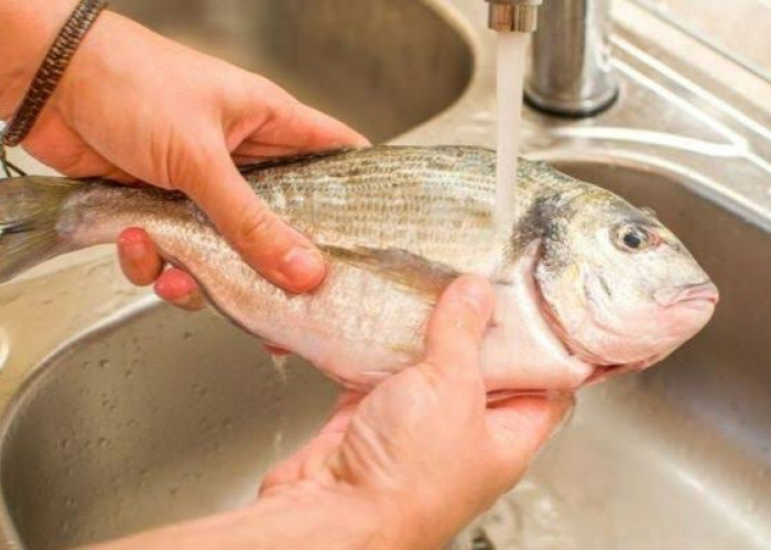 Bukan Pakai Jeruk Nipis, Ini Cara Mencuci Ikan Agar Tidak Amis dan Bebas Lendir Hanya Dengan Satu Bahan Dapur 