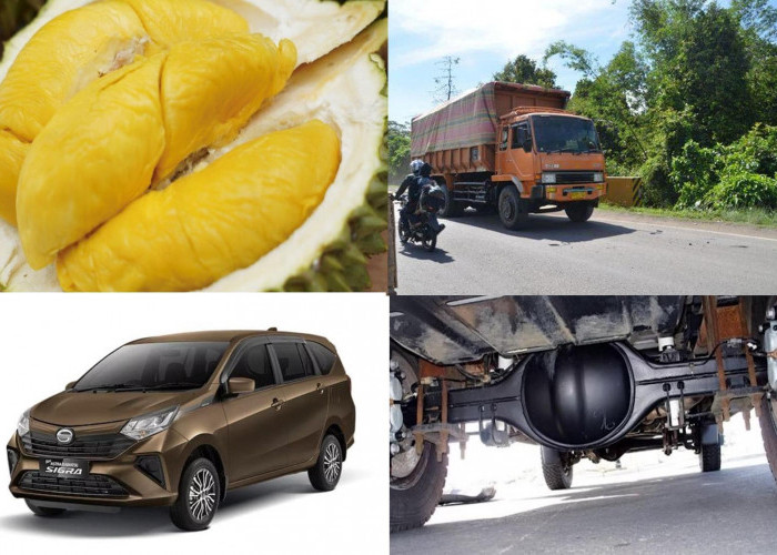 3 Berita Terpopuler: Durian Sumsel Terkenal Manis, Kelebihan Daihatsu Sigra, Truk Batu Bara di Muara Enim