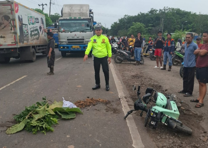 Truk Tronton Tabrak Pengendara Sepeda Listrik di Gelumbang Muara Enim, Korban Meninggal Dunia di Tempat