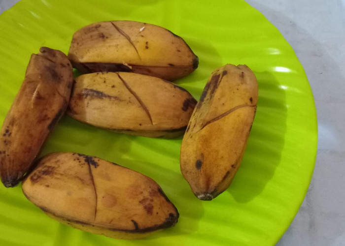 Mau Dinikmati Kapan Aja, Pisang Kepok Kukus Tetap Berkhasiat bagi Kesehatan 