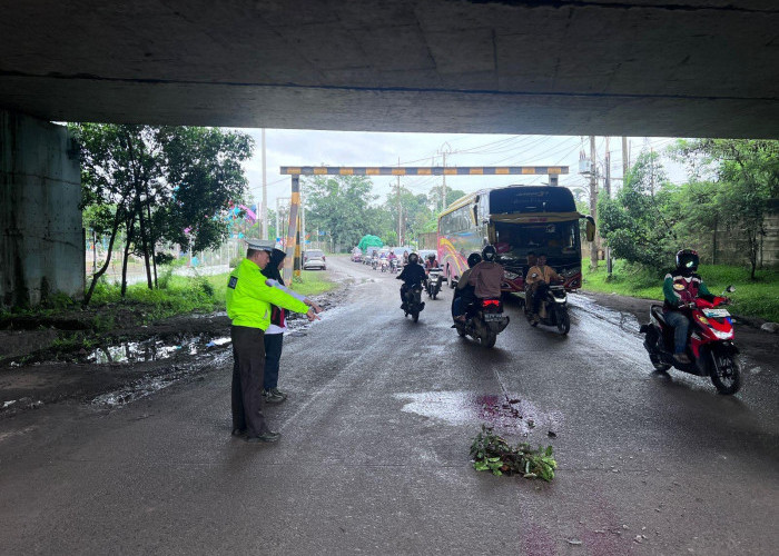 Gagal Nyalip, Pemotor di Muara Enim Tewas Terlindas Mobil Bus