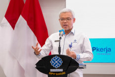 Kemnaker: 81.171 Lowongan Kerja Aktif di Karirhub Masih Terbuka