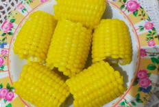 Kamu Harus Tahu! Ternyata Jagung Rebus Menyimpan Segudang Nutrisi  Baik untuk Tubuh