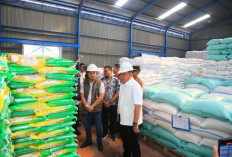 Tinjau Gudang Bulog, Gubernur Herman Deru Pastikan Stok Beras Sumsel Aman Hingga 10 Bulan ke Depan