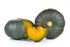 Meskipun Sehat dan Bergizi, Ini 4 Efek Negatif Labu Kuning yang Perlu Diketahui