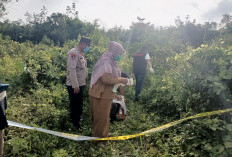 Pelaku Pembunuhan Perempuan Tanpa Identitas di Muara Enim Menyerahkan Diri ke Polisi