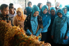 Feby Deru Dorong Produk Lokal Sumsel Tembus Pasar Global