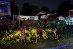 Aksi Cepat Personel Polres Muara Enim Evakuasi Pohon Tumbang Demi Keamanan Arus Mudik