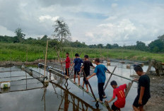 Warga Ayek Puteh Muara Enim Manfaat Danau Kangkung untuk Budidaya Ikan Nila