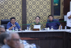 Herman Deru Inisiasi Pembentukan Wadah Organisasi Nasional Satlinmas