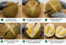 Anti Tangan Terluka! Begini Cara Membuka Durian dengan Aman dan Mudah
