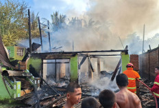 4 Rumah di Muara Enim Ludes Terbakar, Kerugian Capai Rp856 Juta