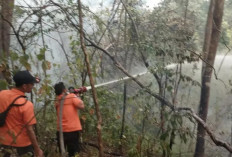 Tim Gabungan BPBD dan Damkar Muara Enim Padamkan Karhutla Seluas 4 Hektare di 3 Lokasi